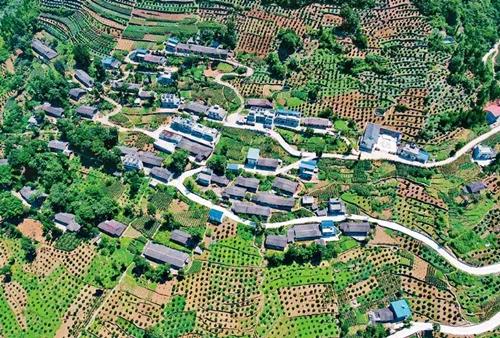 2021年2月5日,如果人间有奇迹3.jpg